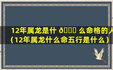 12年属龙是什 🐋 么命格的人（12年属龙什么命五行是什么）